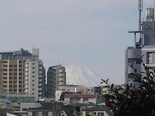 富士見坂からの富士山.jpg